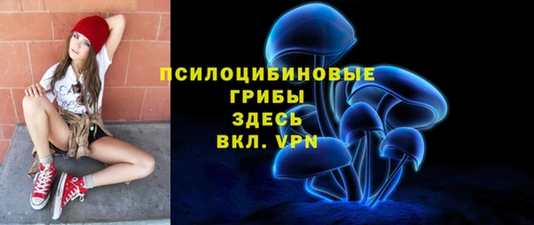 ГАЛЛЮЦИНОГЕННЫЕ ГРИБЫ Кодинск