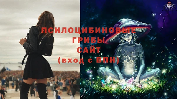 ГАЛЛЮЦИНОГЕННЫЕ ГРИБЫ Кодинск