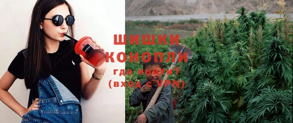 ГАЛЛЮЦИНОГЕННЫЕ ГРИБЫ Кодинск